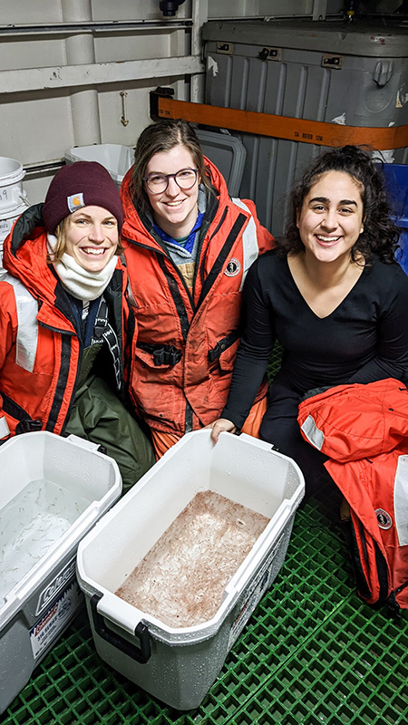 Three researchers collect krill.