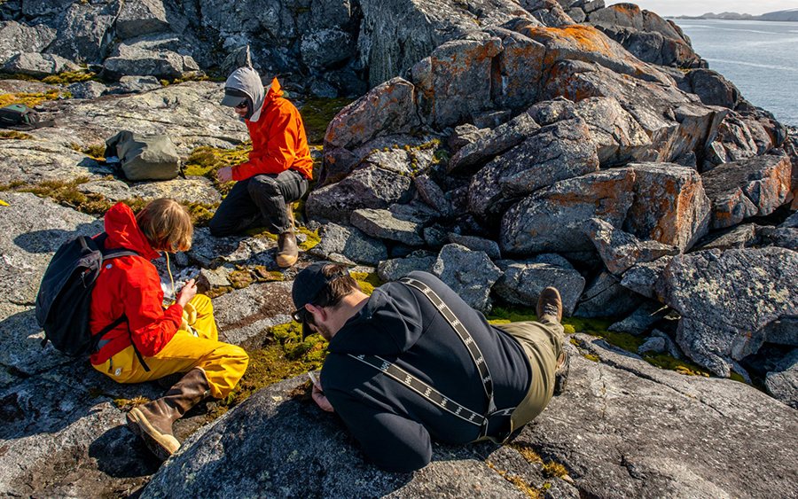 (Left to right) Jacob Idec, Scott Hotaling and J.D. Gantz search for midge larvae in moss atop a rocky hill on an island near Palmer Station. 