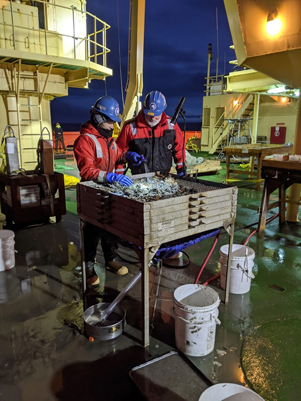 On the deck of the Nathaniel B. Palmer, Will Ballentine (left) and Ken Halanych sieve through a muddy sample during the brief Antarctic night looking for animals buried within.