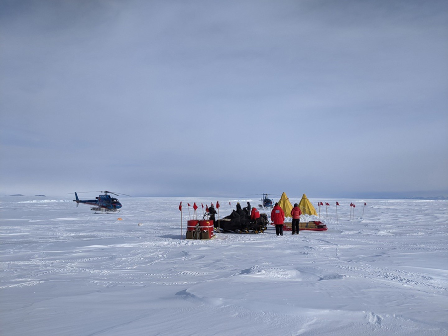 Because of the difficult ice conditions this year, some of the nearby colonies could only be reached by helicopter. For these sites, the team set up a small emergency cache of supplies and shelter in case bad weather prevented the helicopters from picking them up. 