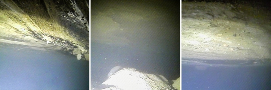 Images taken by Icefin from below the Thwaites Glacier's grounding zone show sediments on the underside of the ice. 