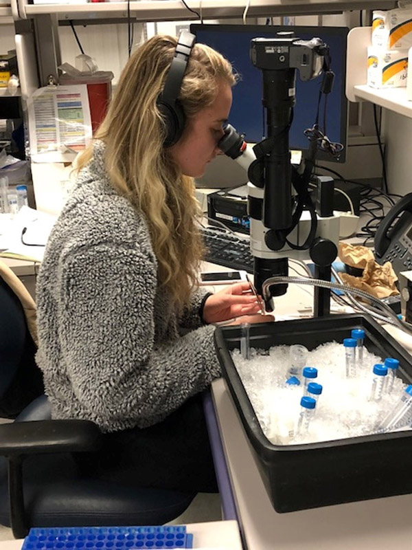 Researcher Maggie Streeter studies fish embryos