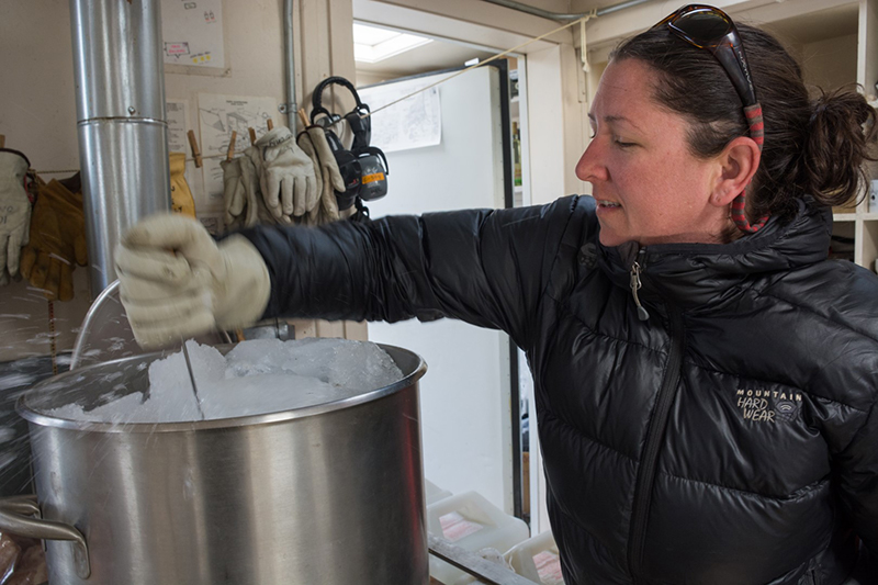 Researcher Melissa Brett helps to chop recently harvested glacier berries into smaller chunks, making them melt into drinking water faster