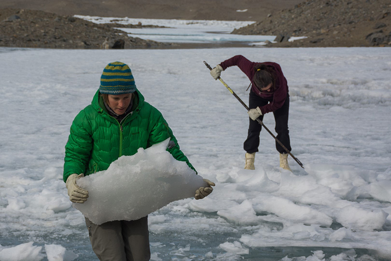 Field coordinator Renee Noffke breaks off chunks of frozen fresh water, dubbed glacier berries