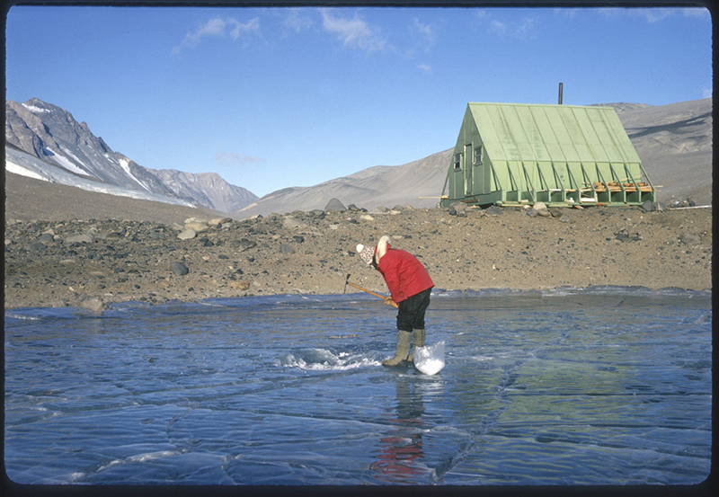 Terry Tickhill hacks away ice to melt for drinking water at Lake Bonney in the Taylor Valley. Then an undergraduate studying chemistry, Tickhill was hired in part be the camp manager, in charge of preparing meals and running the camp, in addition to her scientific expertise.
