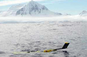 Glider in the Antarctic