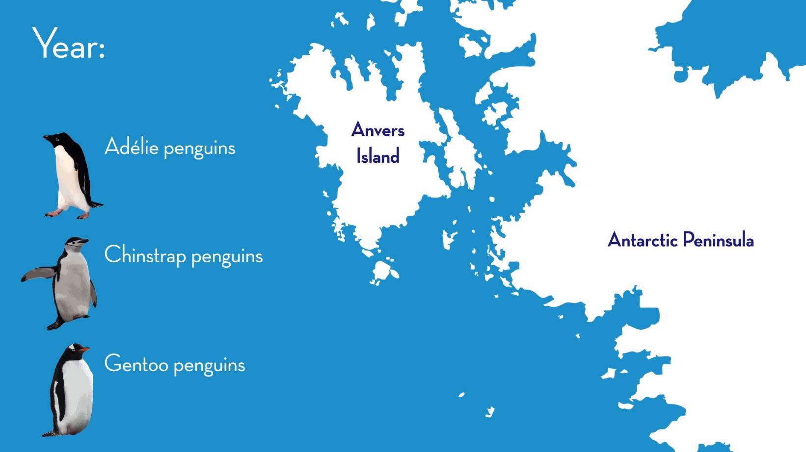 adelie penguin habitat map